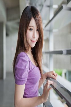 貓頭鷹和小飛象