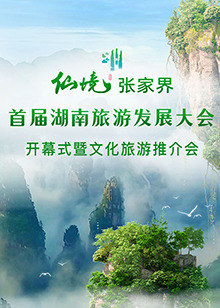 首屆湖南旅游發展大會開幕式暨文化旅游推介會