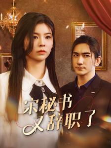 宋秘書又辭職了
