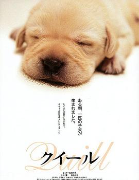 導盲犬小Q[電影解說]